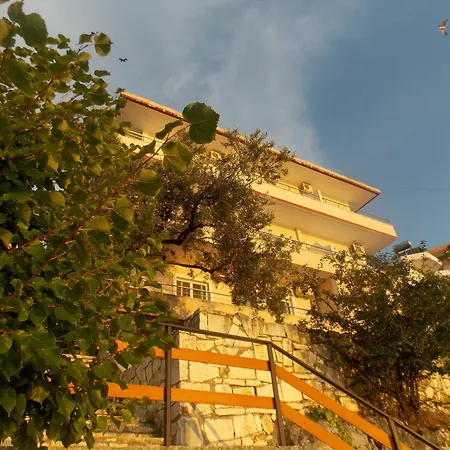 Edola 3*